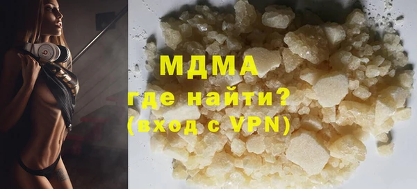 индика Алексин