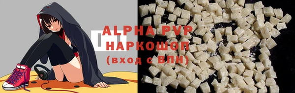 индика Алексин