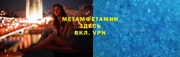индика Алексин