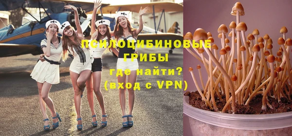 спайс Алексеевка