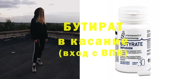 индика Алексин
