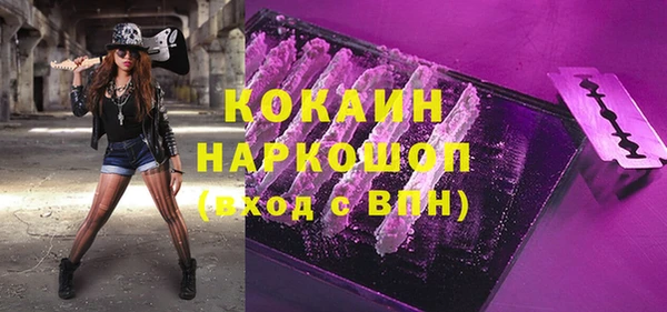 индика Алексин