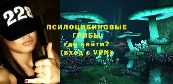 спиды Алзамай