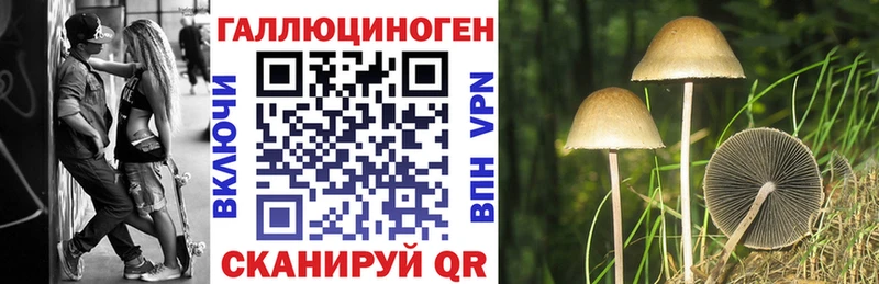 Галлюциногенные грибы мухоморы omg зеркало Ангарск магазин наркотиков
